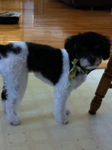 1st birthday. Sept 23'14