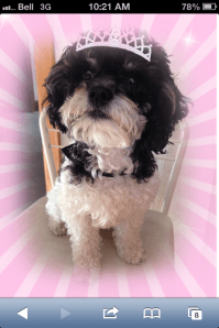 Princess Meyya, Sept '14