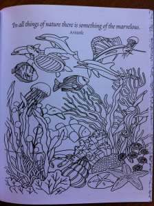 colouring book.5