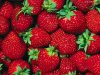 thumbs_Summer-Strawberries