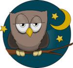night-owl